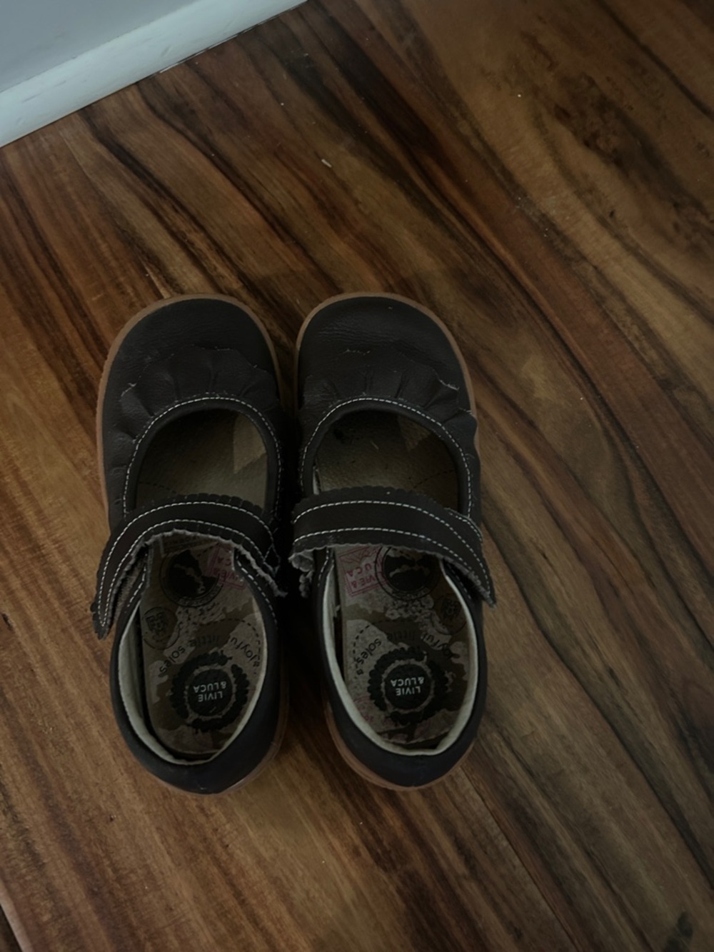 Livie & Luca Girls Brown Mary Jane Shoes with Velcro